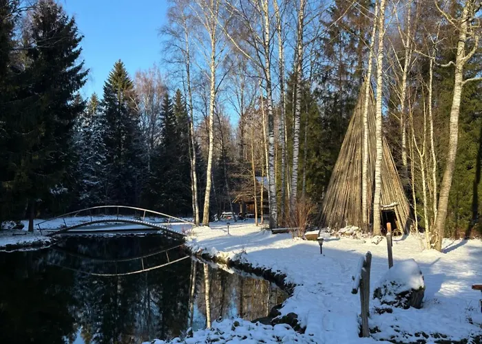 Koplimadise Palkmaja 別荘 *